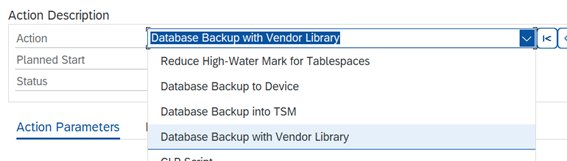 Database Backup with vendor Library